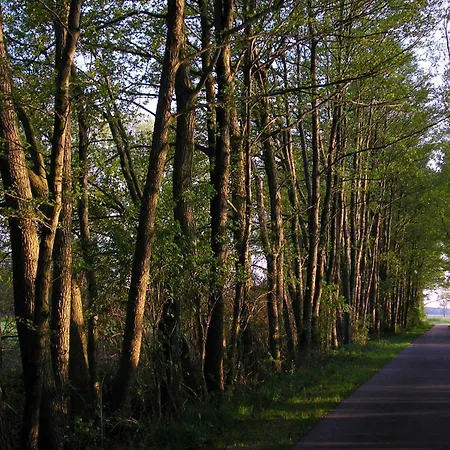 Hotel Parkhotel Schoenewalde