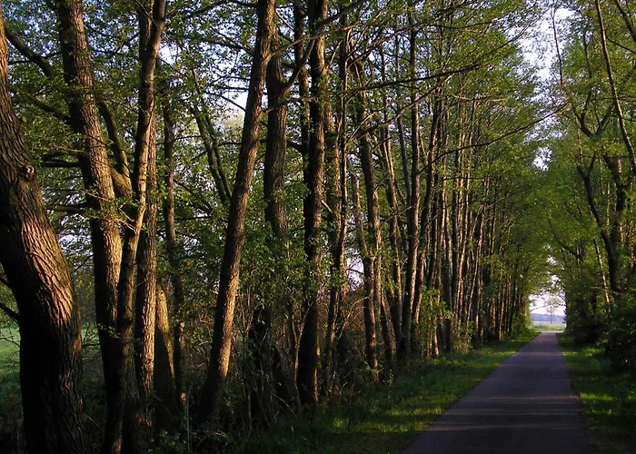 ホテル Parkhotel Schönewalde