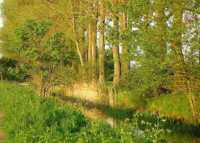 ホテル Parkhotel 3*